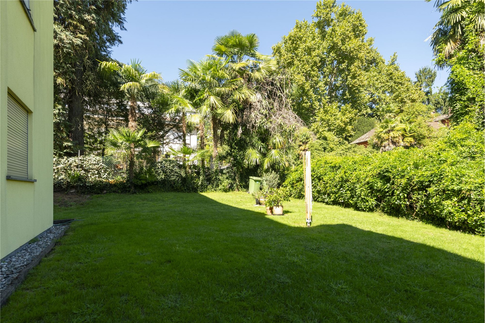 Grüner Garten mit Rasen und tropischer Bepflanzung