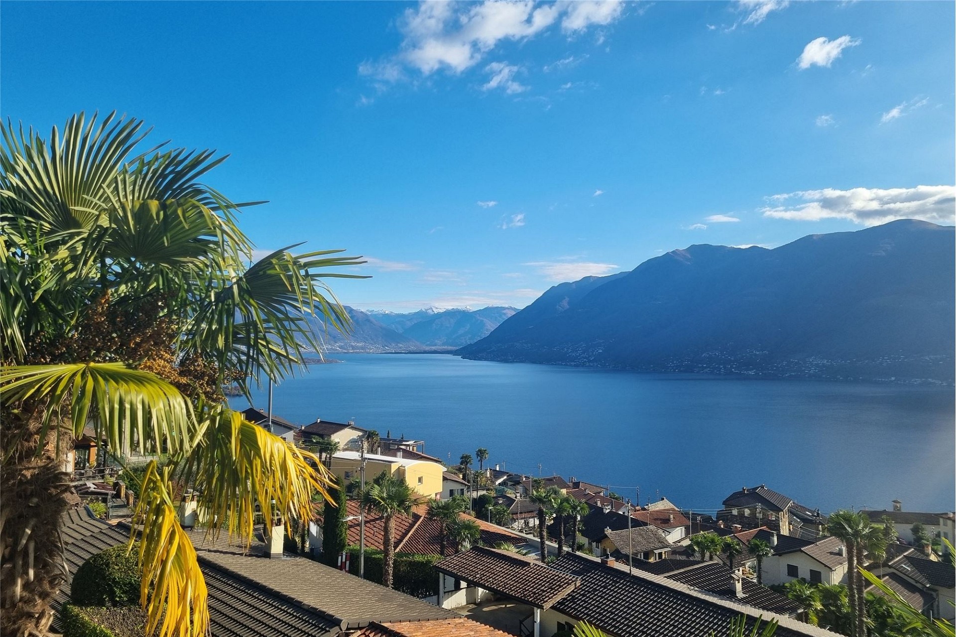 Seeblick mit Bergen und Palmengarten
