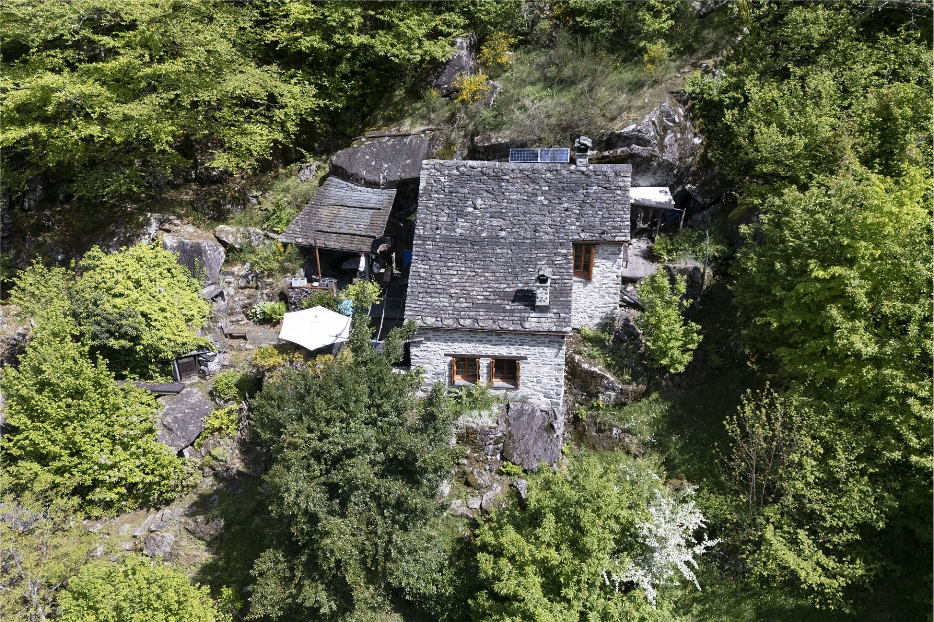 Berghaus in dichtem Wald