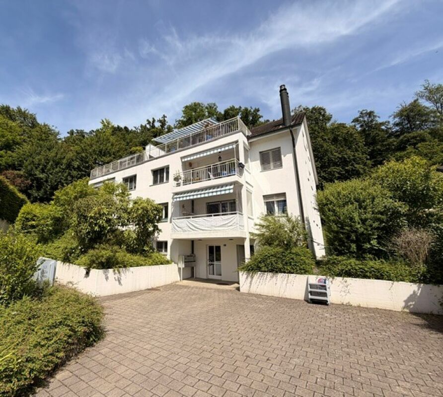 Mehrfamilienhaus mit Terrassen und Zufahrt