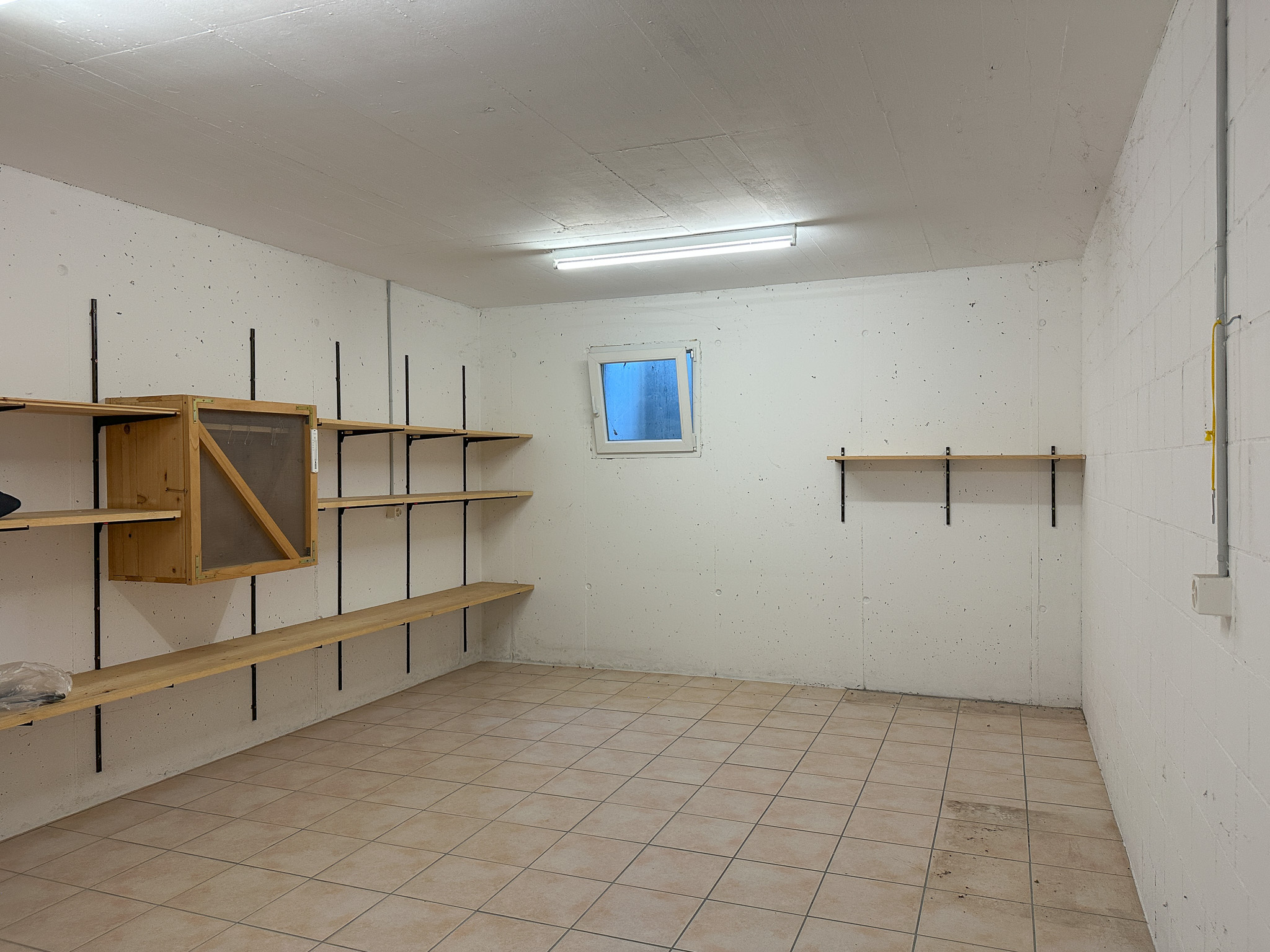 Kleiner Keller- oder Abstellraum mit Regalen