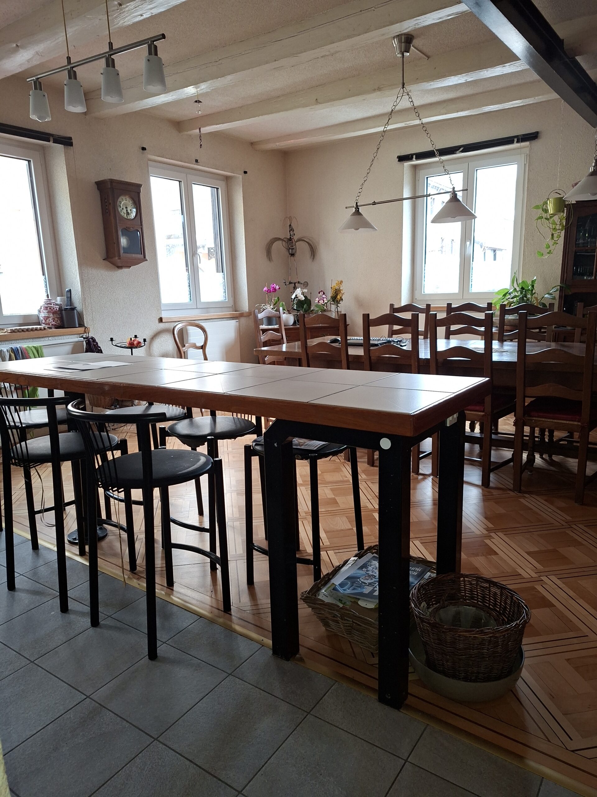 Essbereich mit Holztisch und vielen Stühlen