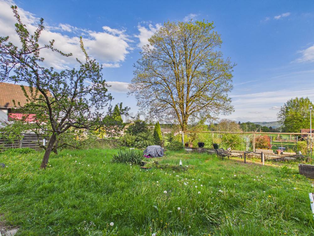 Garten mit Rasen und Bäumen