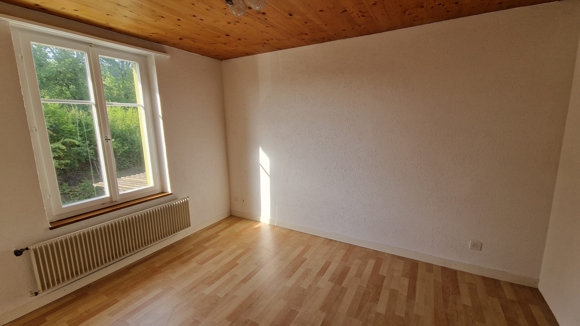 Leerer Wohnraum mit Holzdecke und Blick ins Grüne