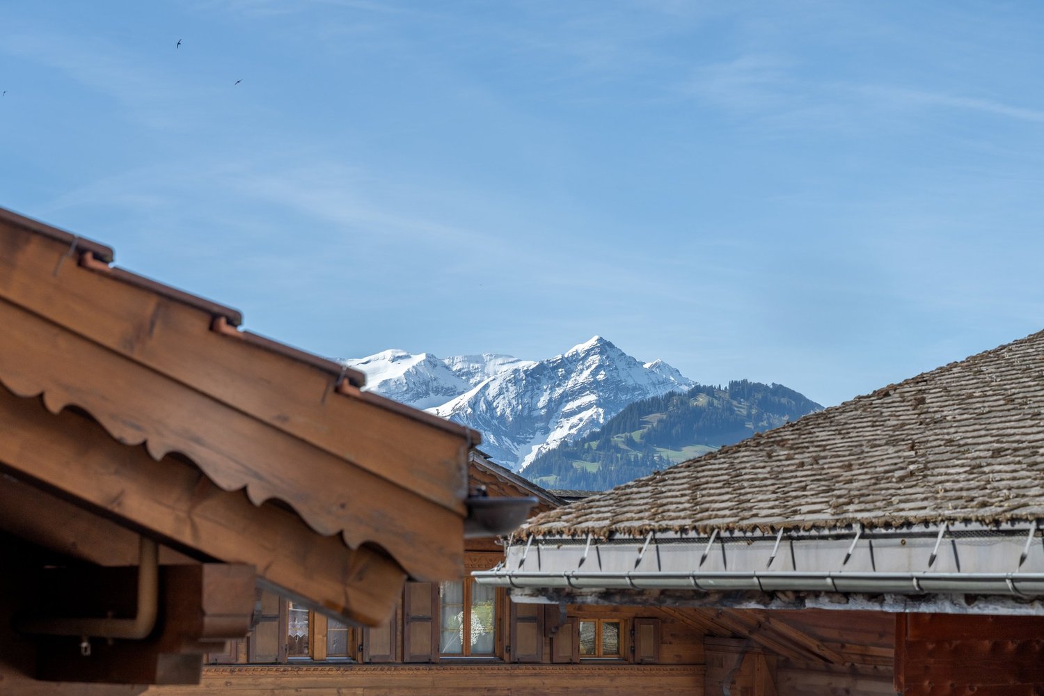 Alpenblick über traditionelle Holzdächer