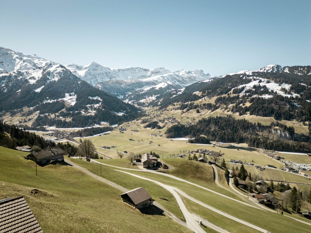Bergpanorama mit Alm- und Talblick