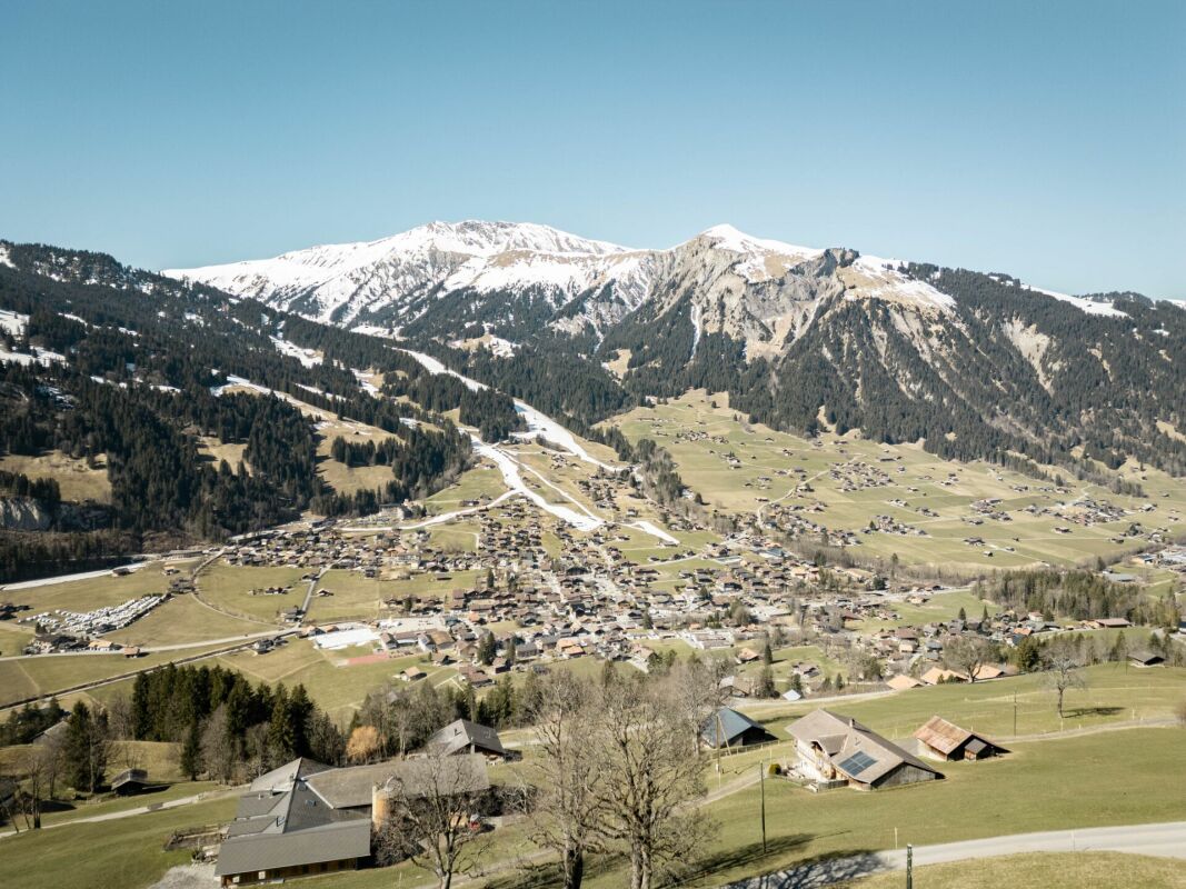 Alpenpanorama mit Talort
