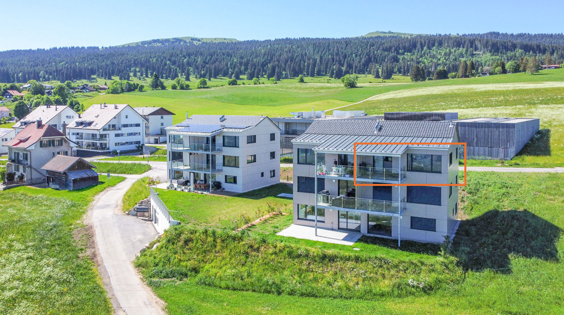 Drohnenaufnahme moderner Wohnhäuser in alpiner Grünlage
