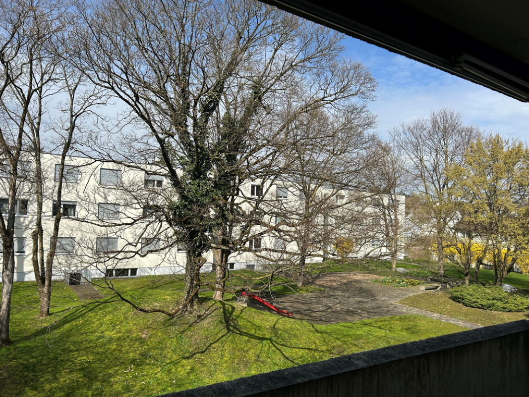 Blick auf Wohnanlage mit Parkanlage