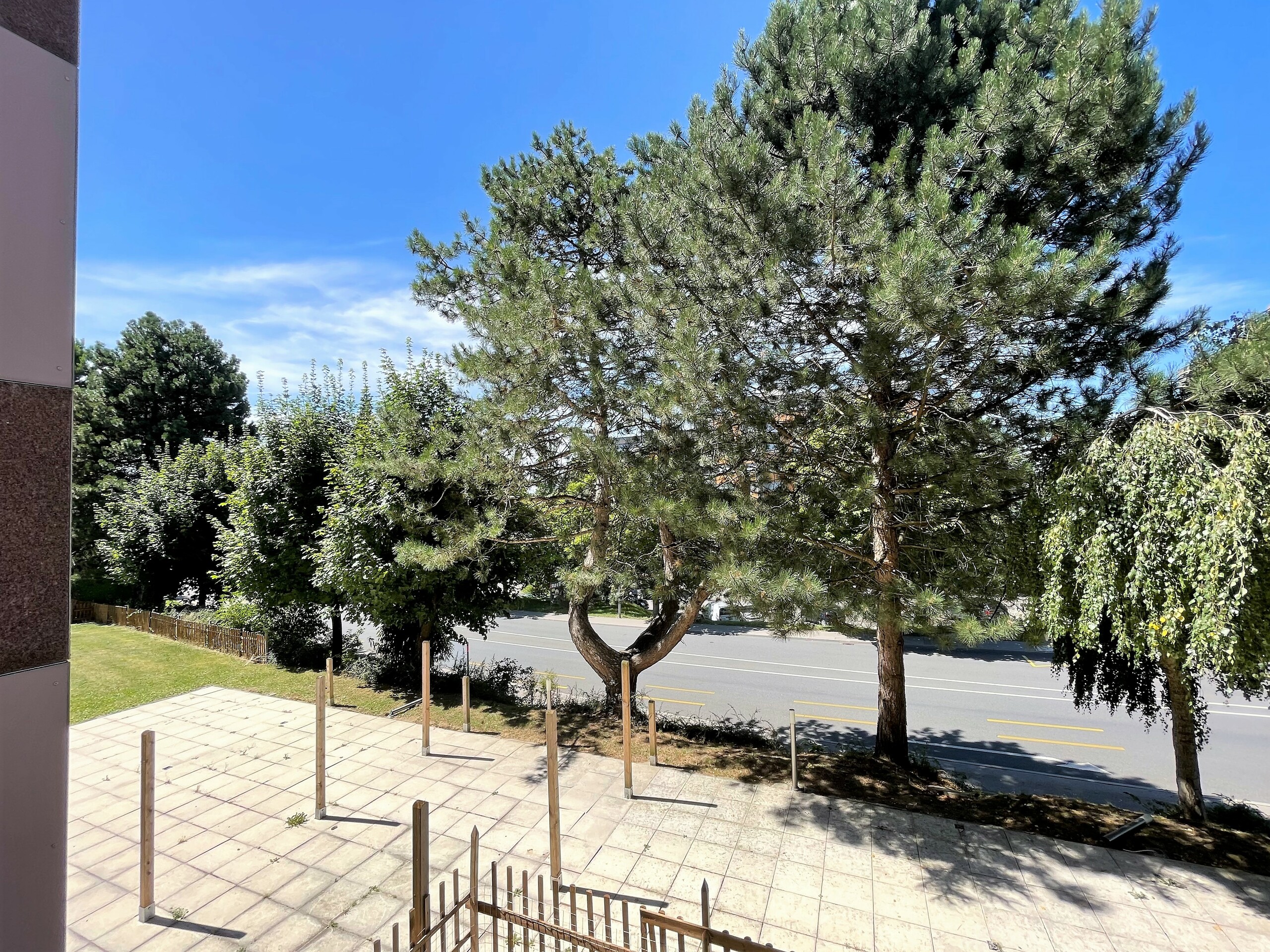 Blick auf Terrasse und Straße mit Bäumen