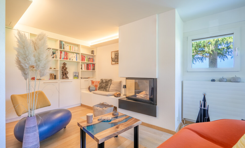 Modernes Wohnzimmer mit Kamin und Bücherregal