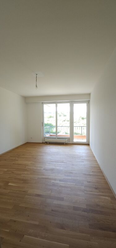 Leerer heller Wohnraum mit Balkonfenster