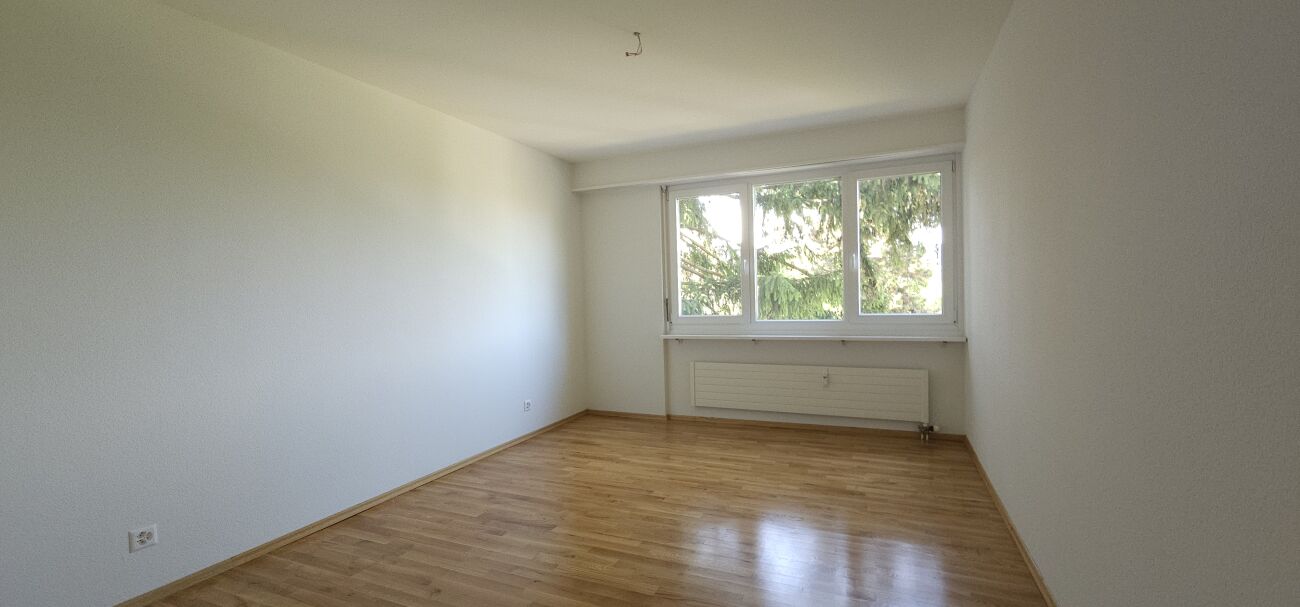 Helles, leeres Zimmer mit Fensterfront