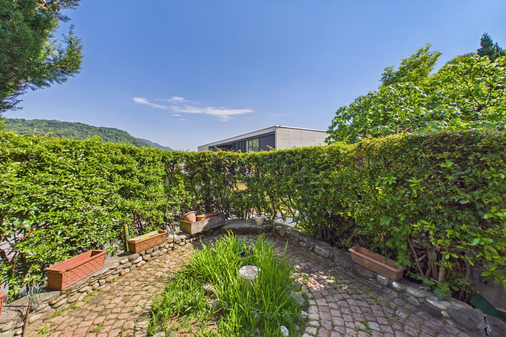 Garten mit modernem Haus im Hintergrund