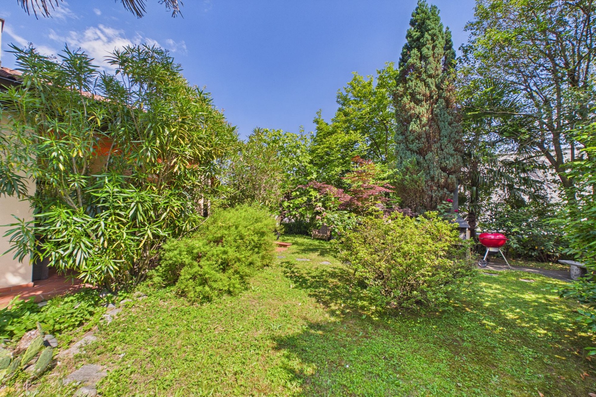 Grüner Garten mit Grill