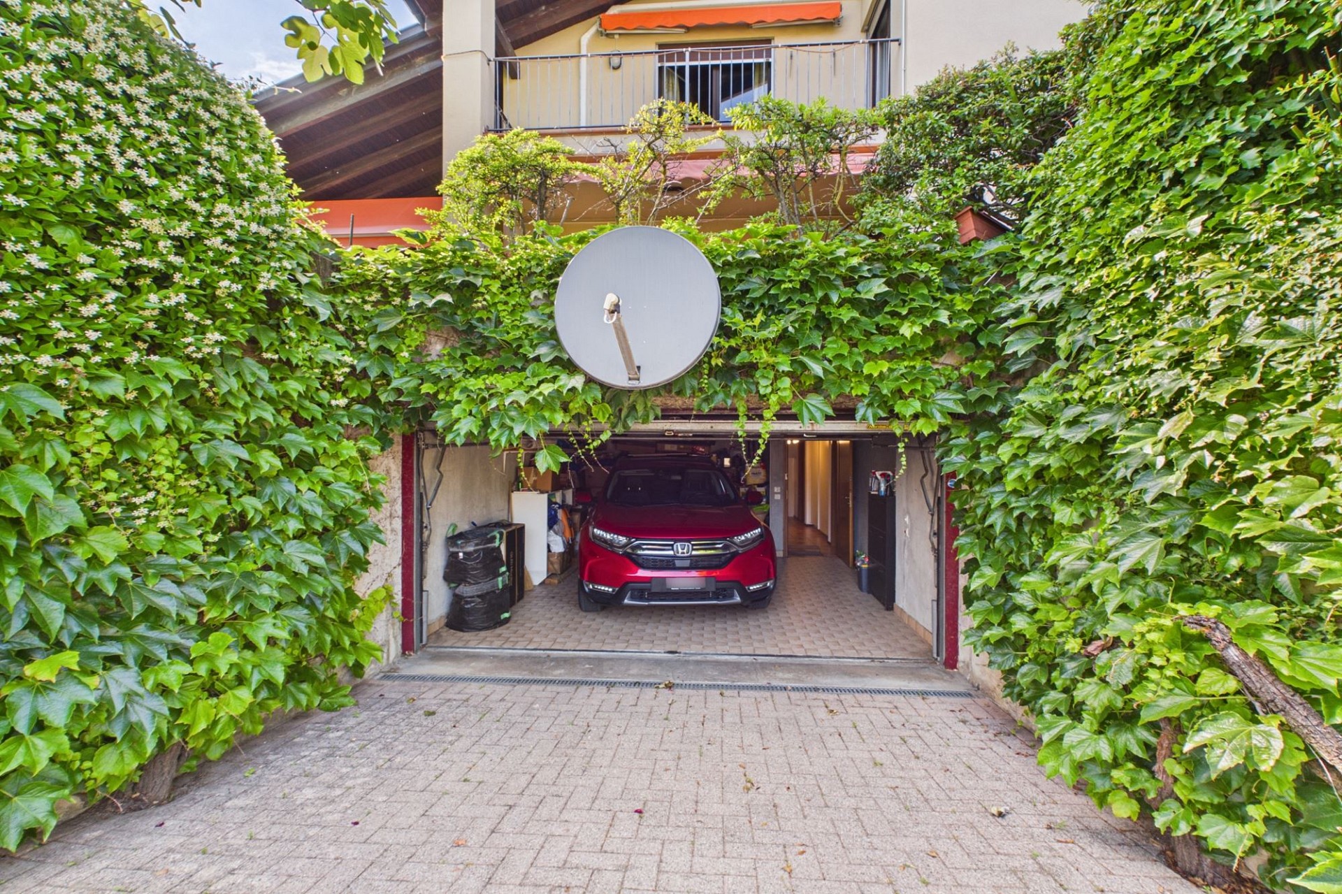Bewachsene Zufahrt mit Garage