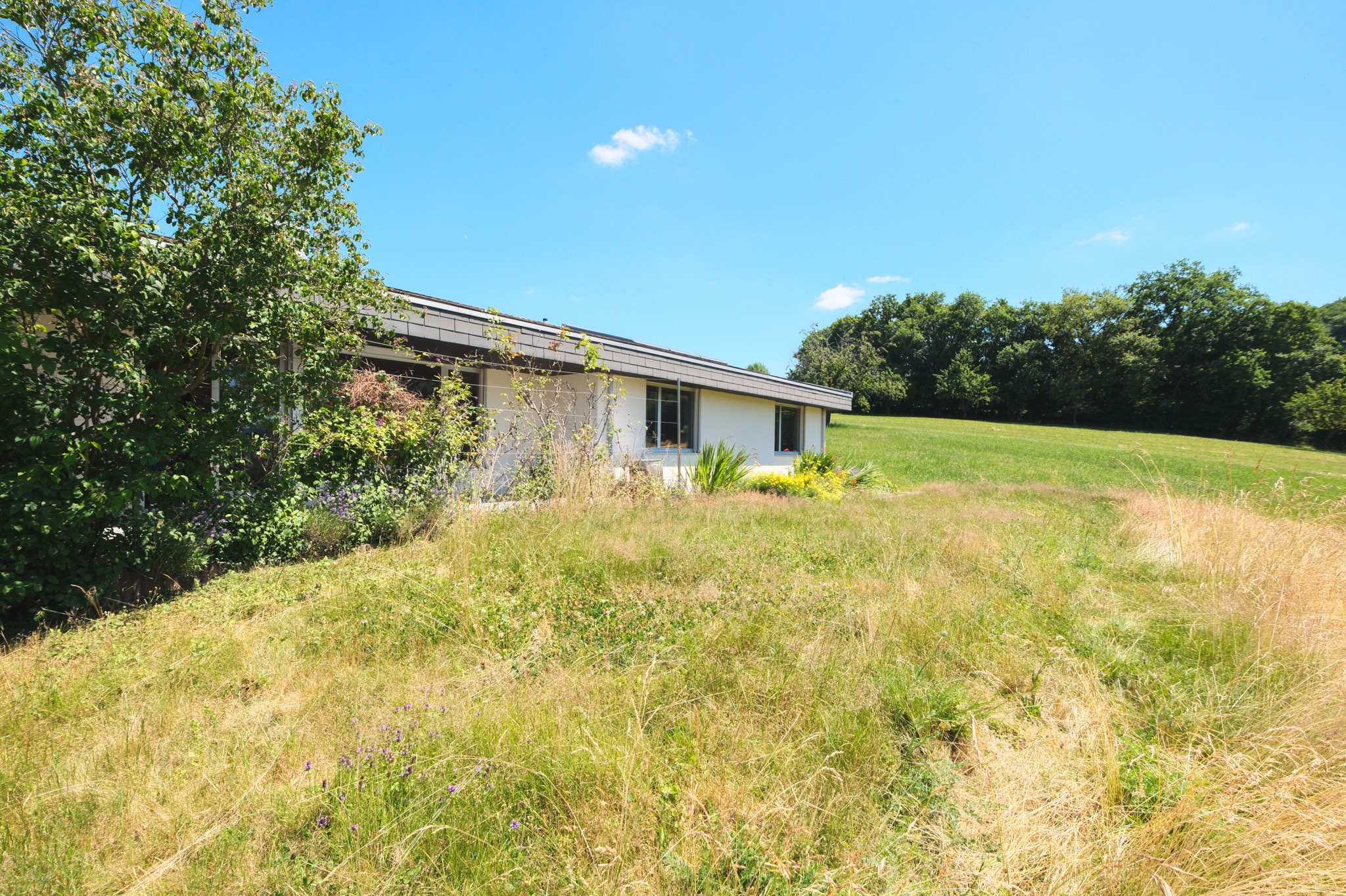 Einfamilienhaus in grüner Umgebung