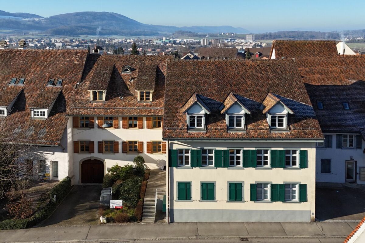 Historische Häuser mit Ziegeldächern und Alpenpanorama