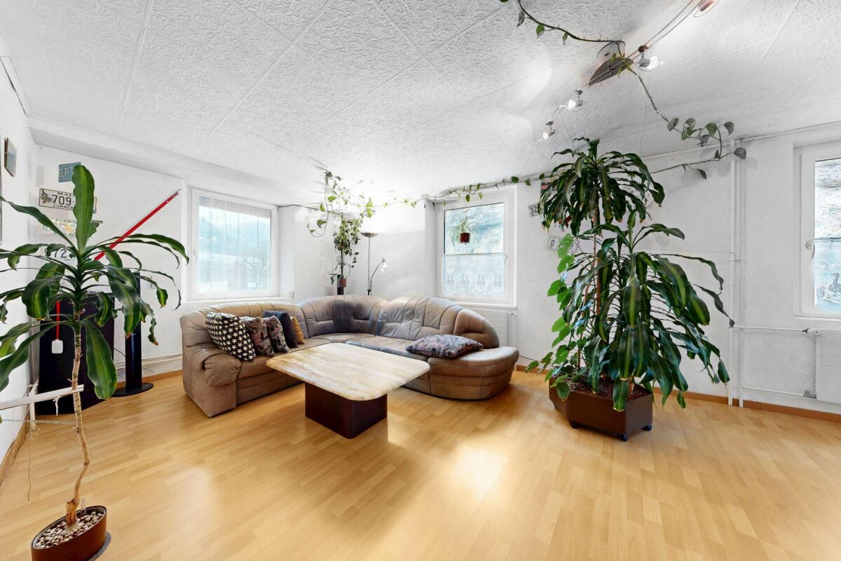 Helles Wohnzimmer mit L-förmigem Sofa und vielen Pflanzen