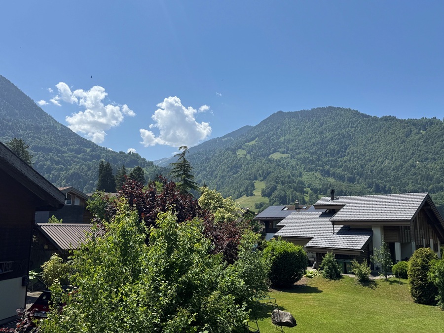 Alpenlandschaft mit Wohnhäusern und Garten