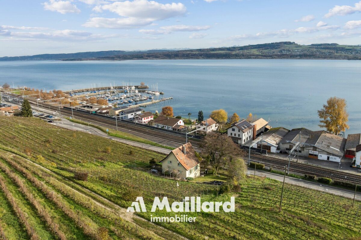 Seeblick über Weinberge und Hafen