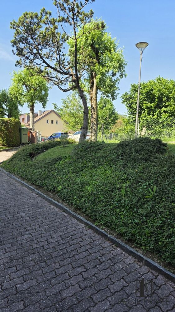 Wohnweg mit Grünfläche und Straßenlaterne