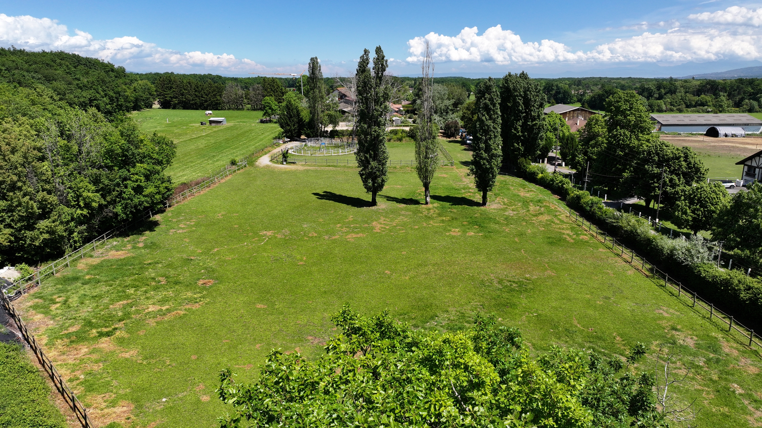 Große grüne Wiese mit Landschaftsblick