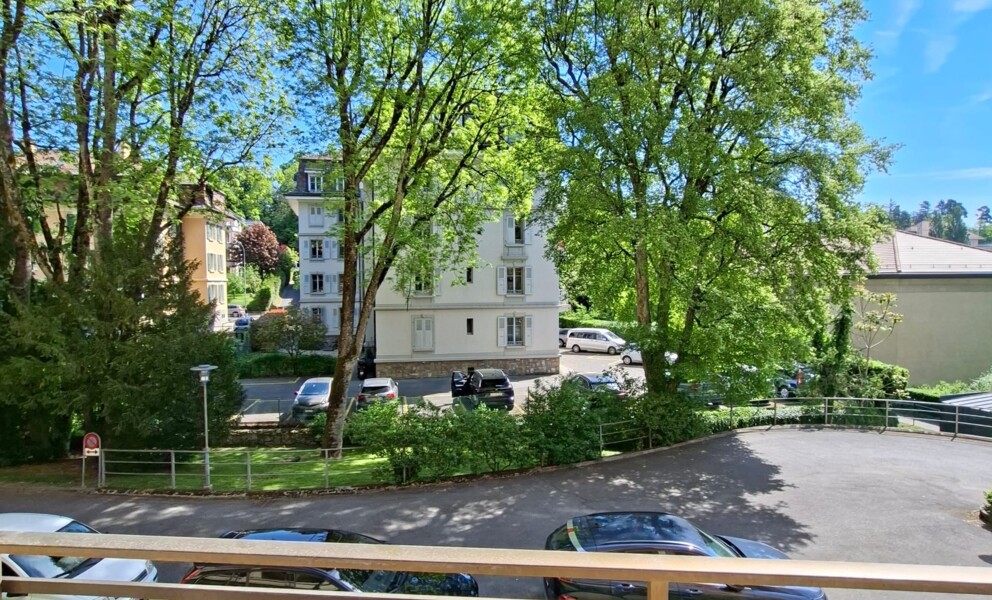 Blick ins Grüne über eine Wohnstraße