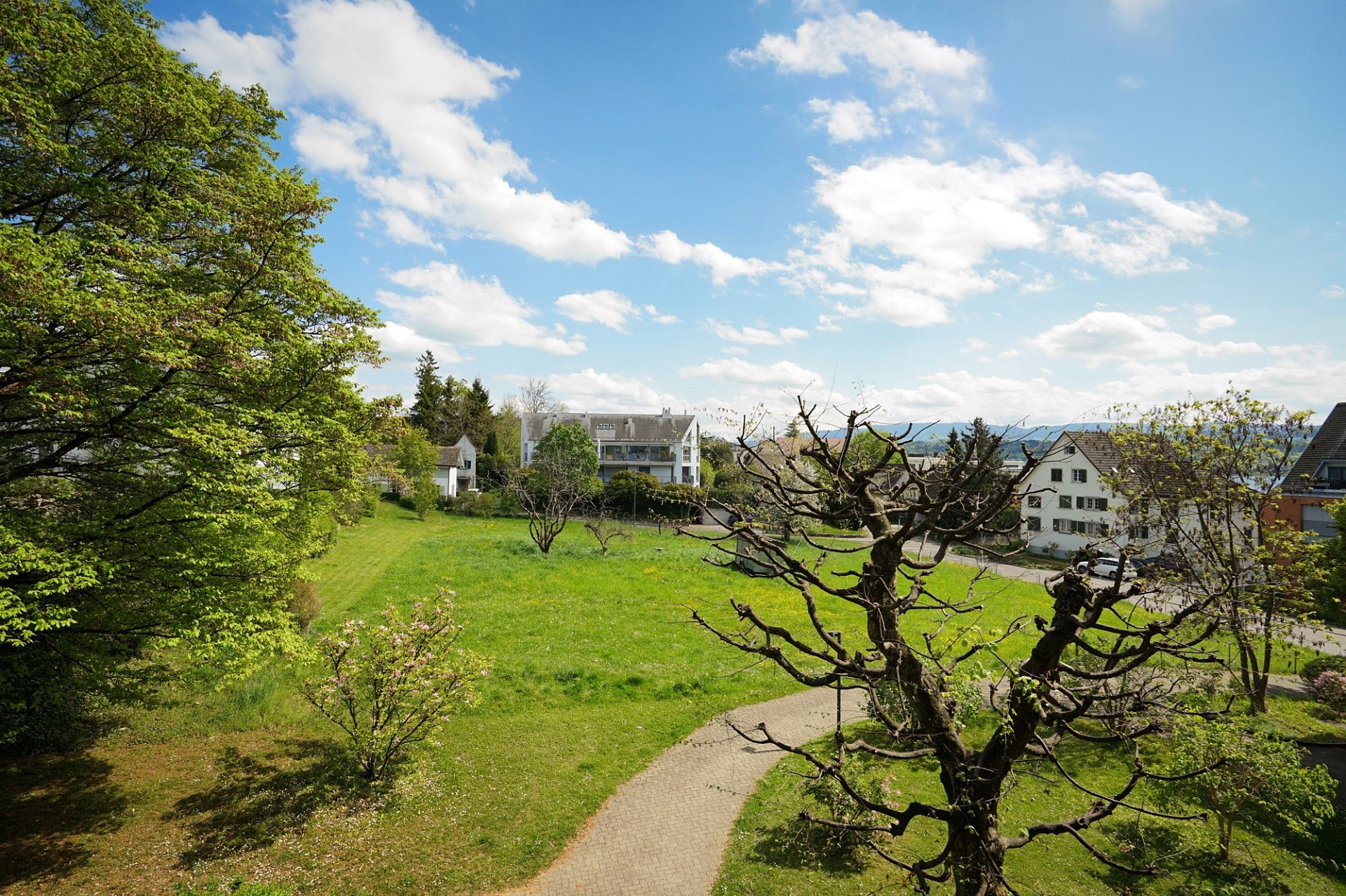 Grünanlage mit Weitblick auf Wohnhäuser