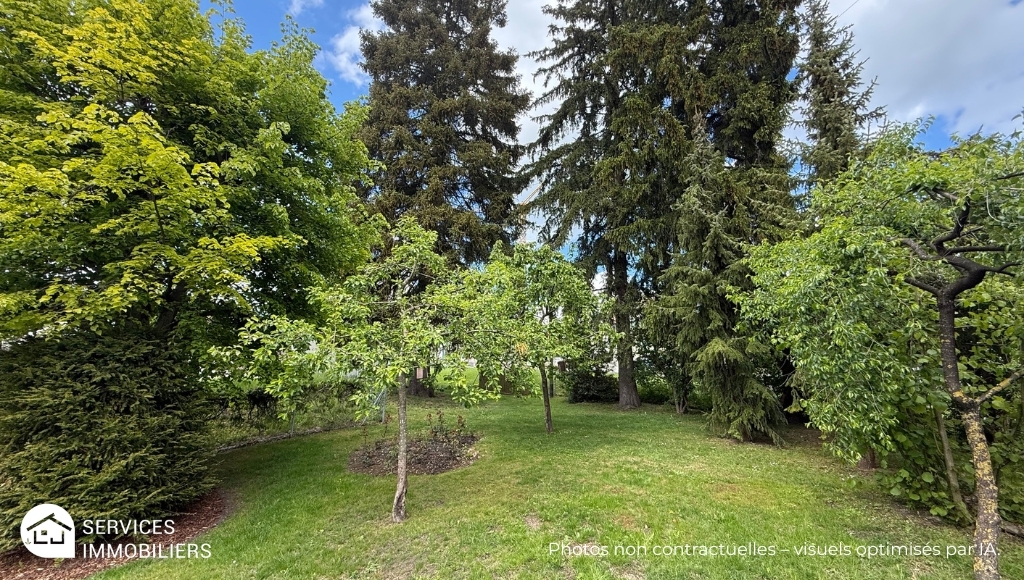Grüner Garten mit hohen Bäumen