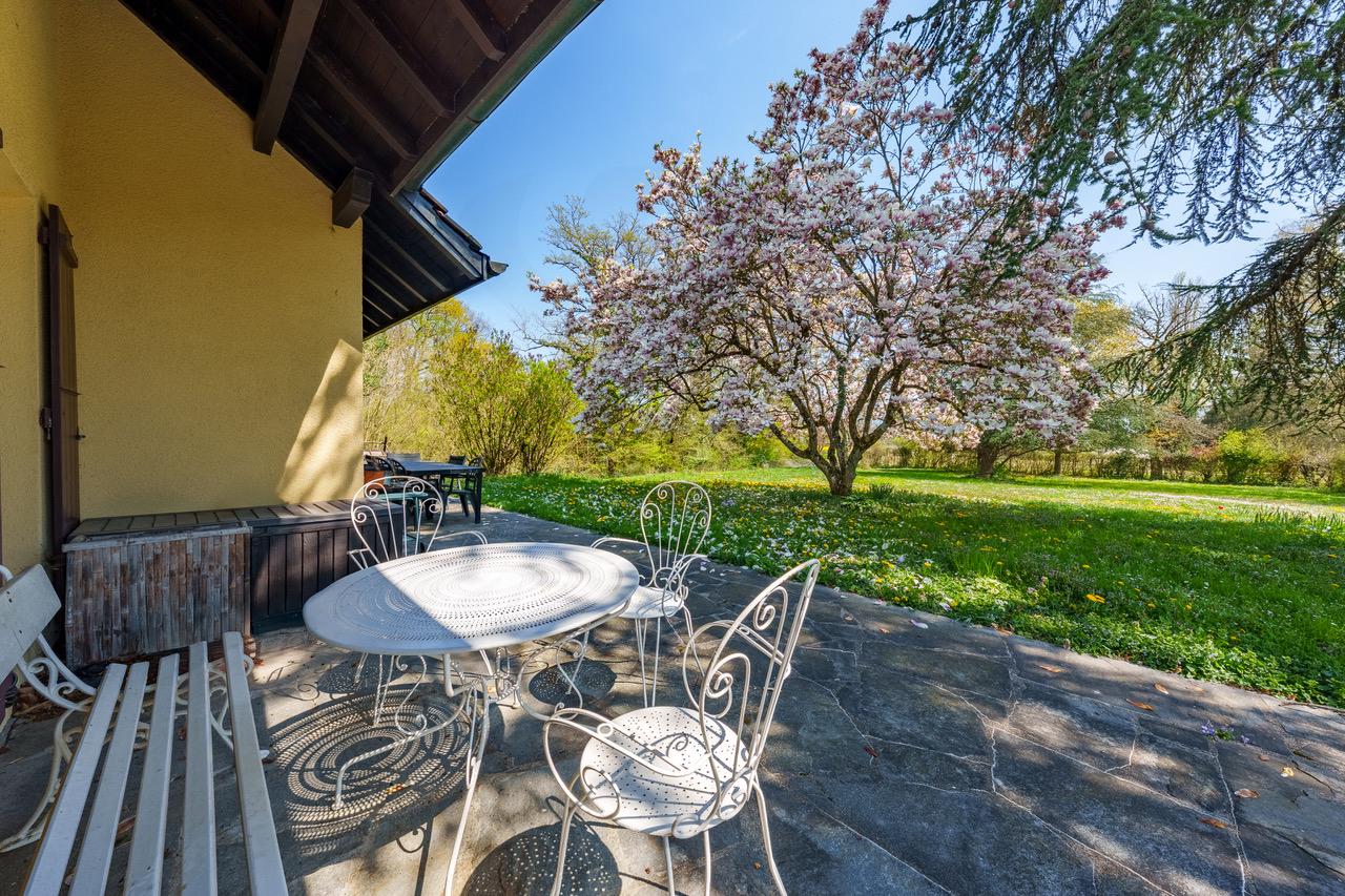 Garten-Terrasse mit Sitzgruppe neben blühendem Baum