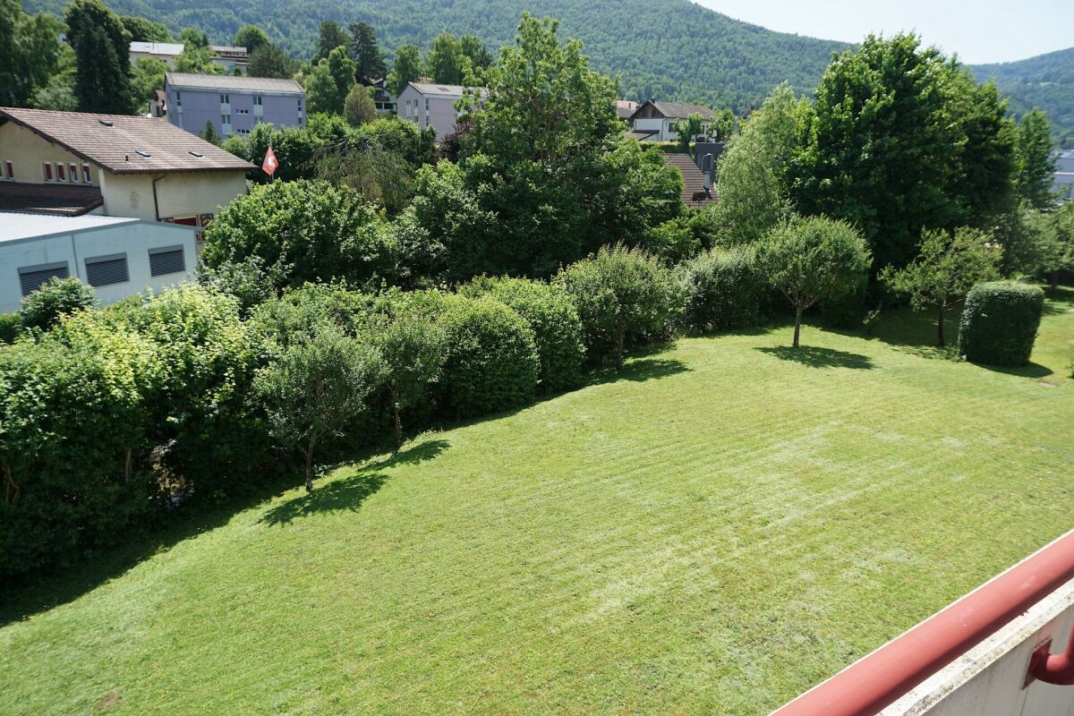 Gartenblick mit Rasenfläche