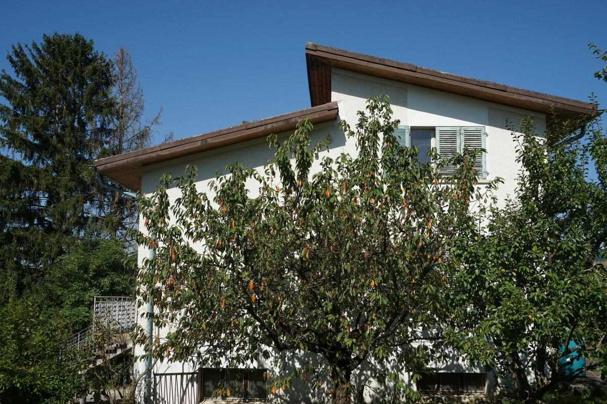 Außenansicht eines Wohnhauses mit Gartenvegetation