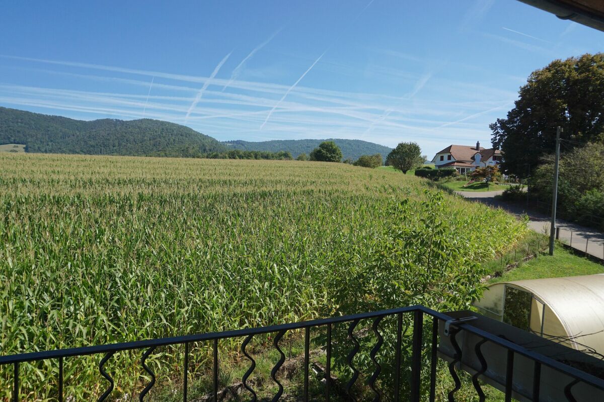 Blick vom Balkon über Felder und Landschaft