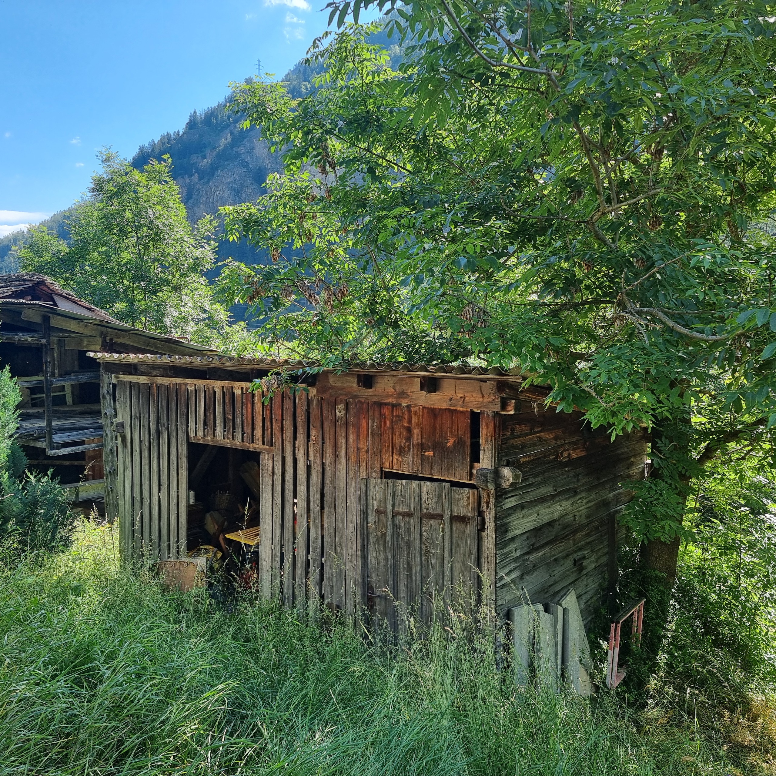 Alte Holzschuppen im Grünen