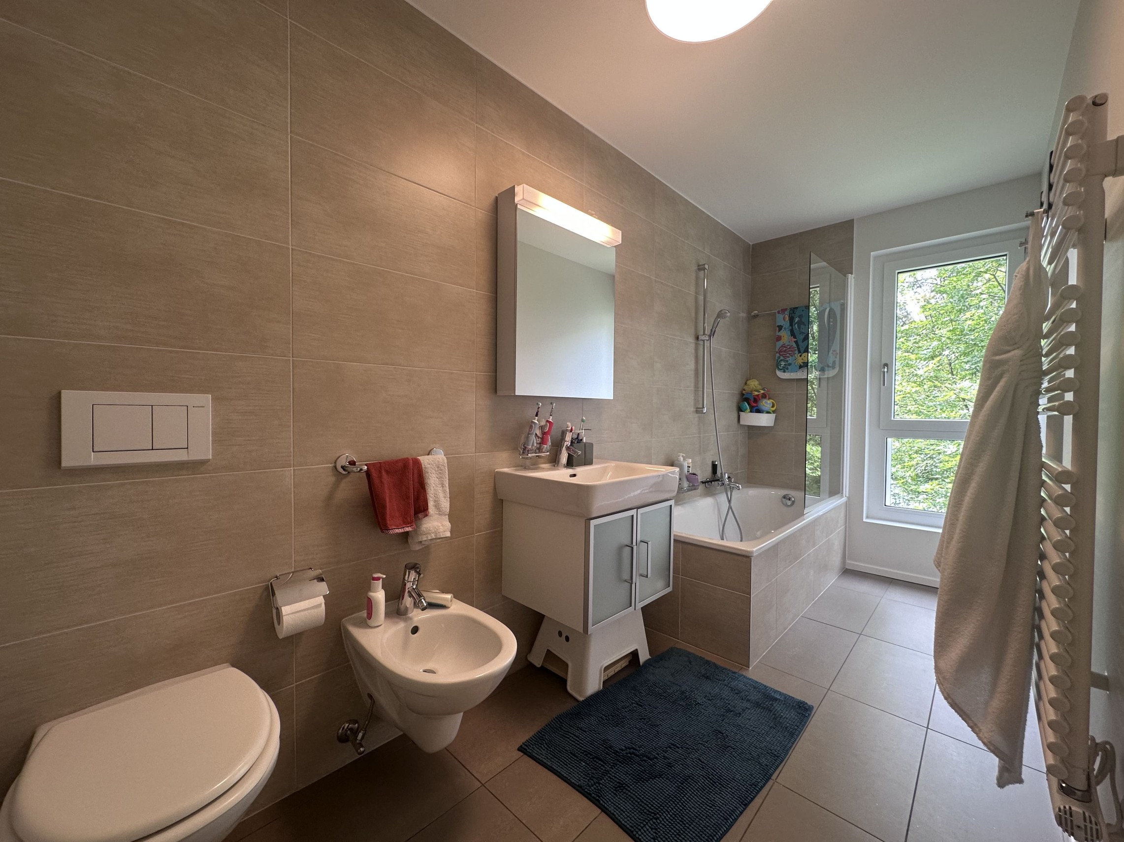 Modernes Badezimmer mit Badewanne und Fensterblick