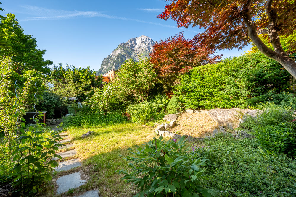 Garten mit Bergkulisse