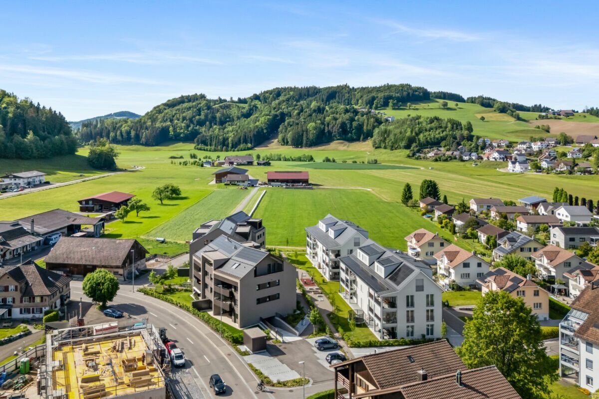 Luftaufnahme eines Wohngebiets im Grünen
