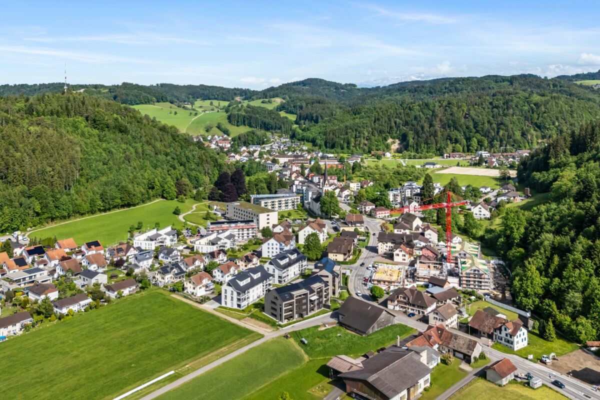 Luftaufnahme eines grünen Tals mit Ortschaft