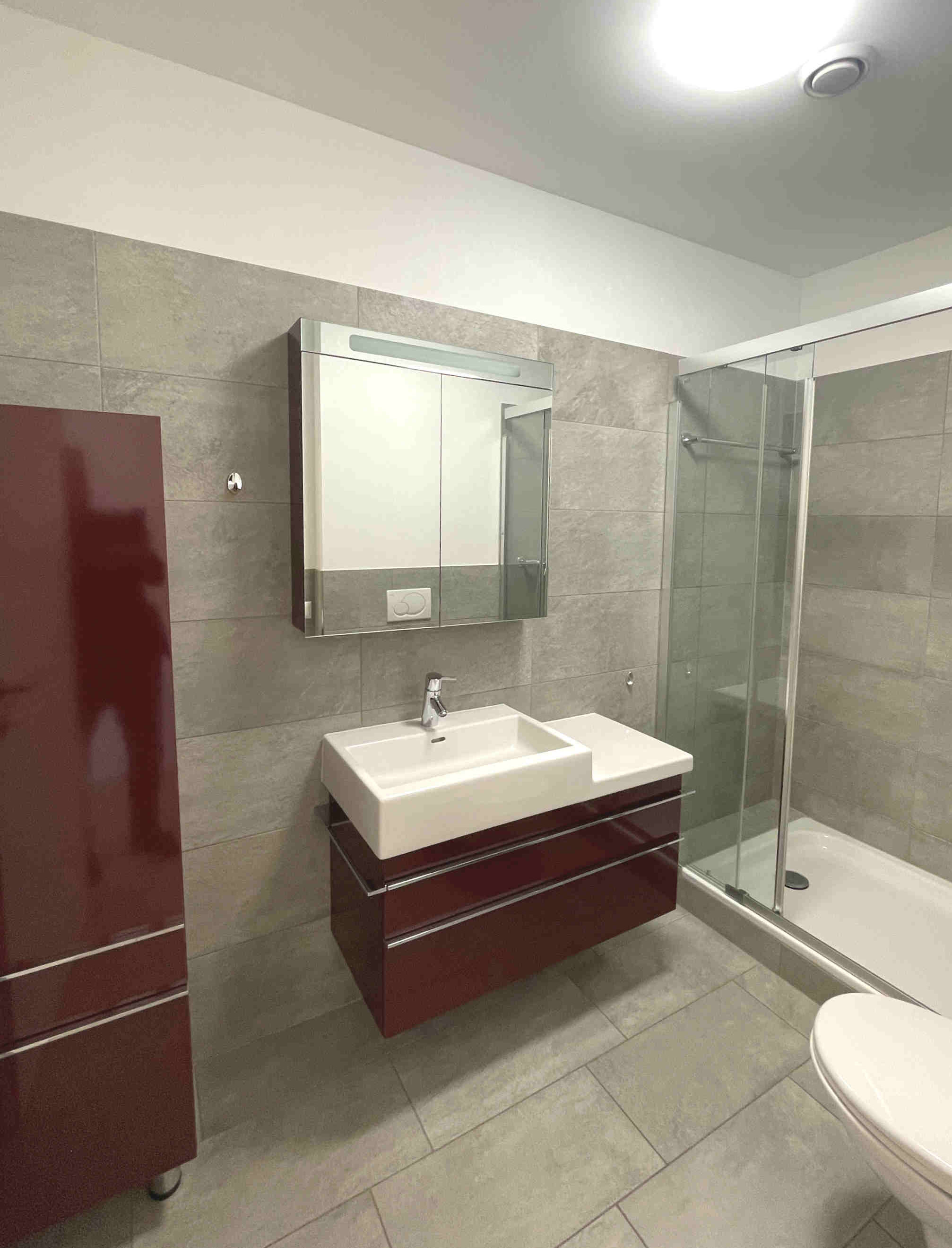 Modernes Badezimmer mit Walk-in-Dusche und Waschtisch