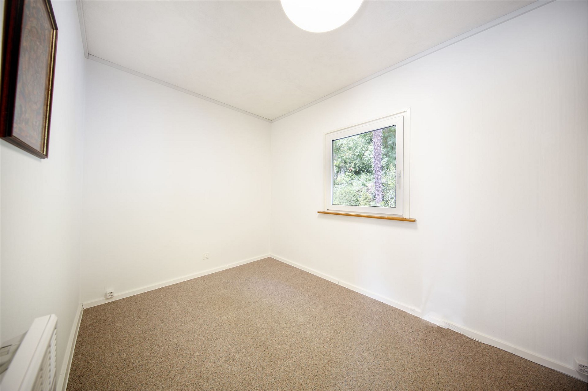 Helles, leeres Zimmer mit Teppichboden und Fensterblick ins Grüne
