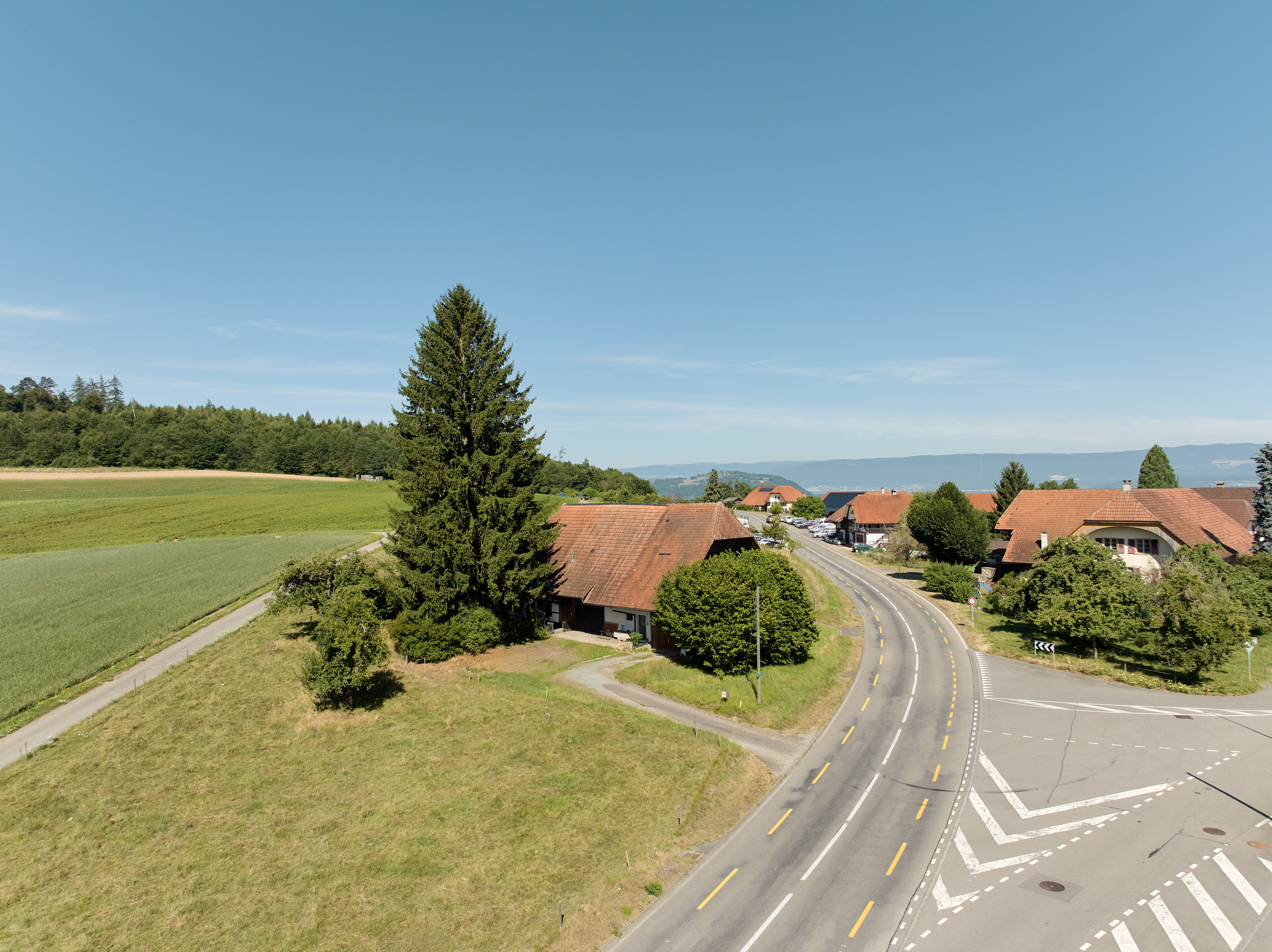 Ländliche Luftaufnahme mit Häusern und Straße
