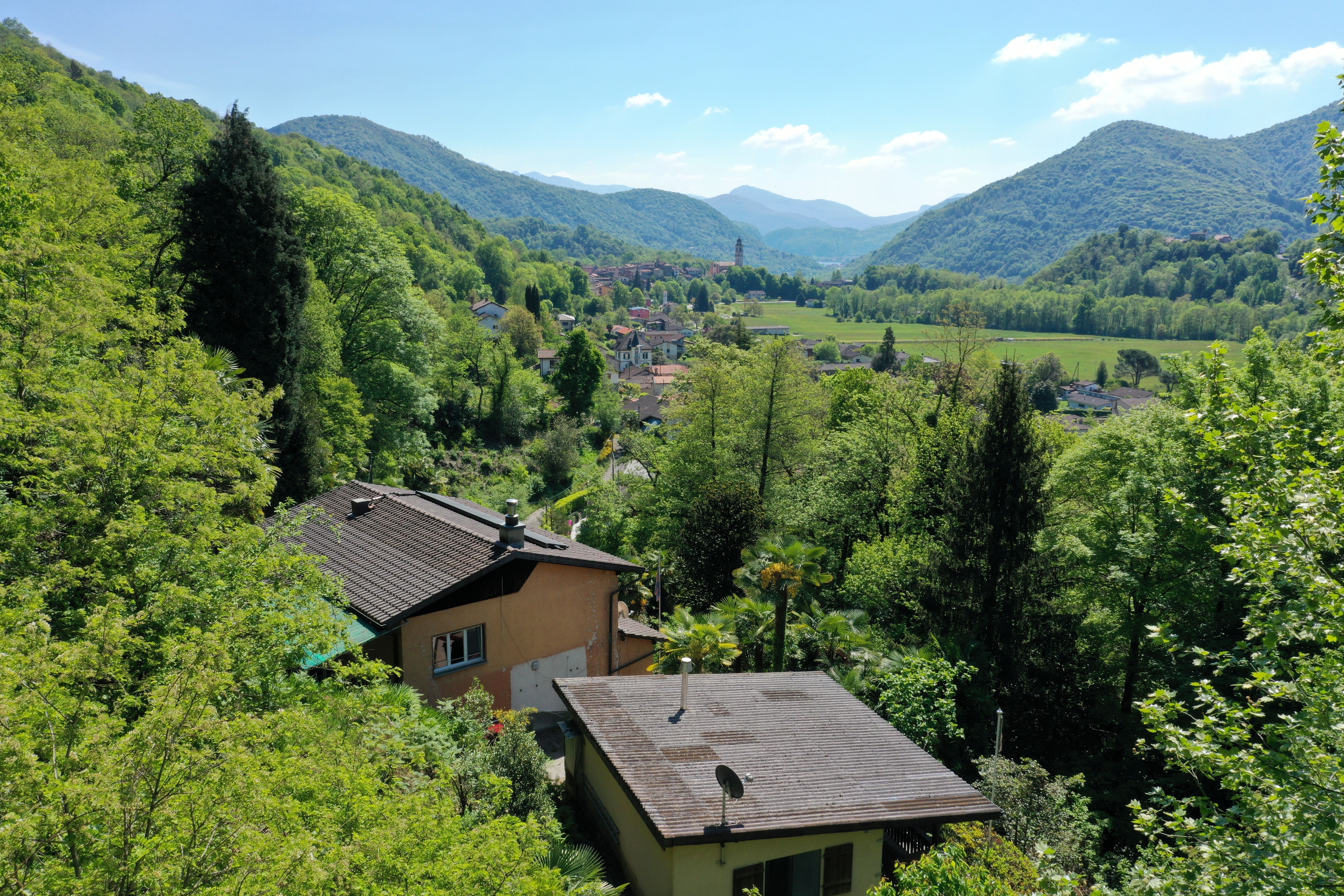 Panoramablick ins grüne Tal mit Bergen