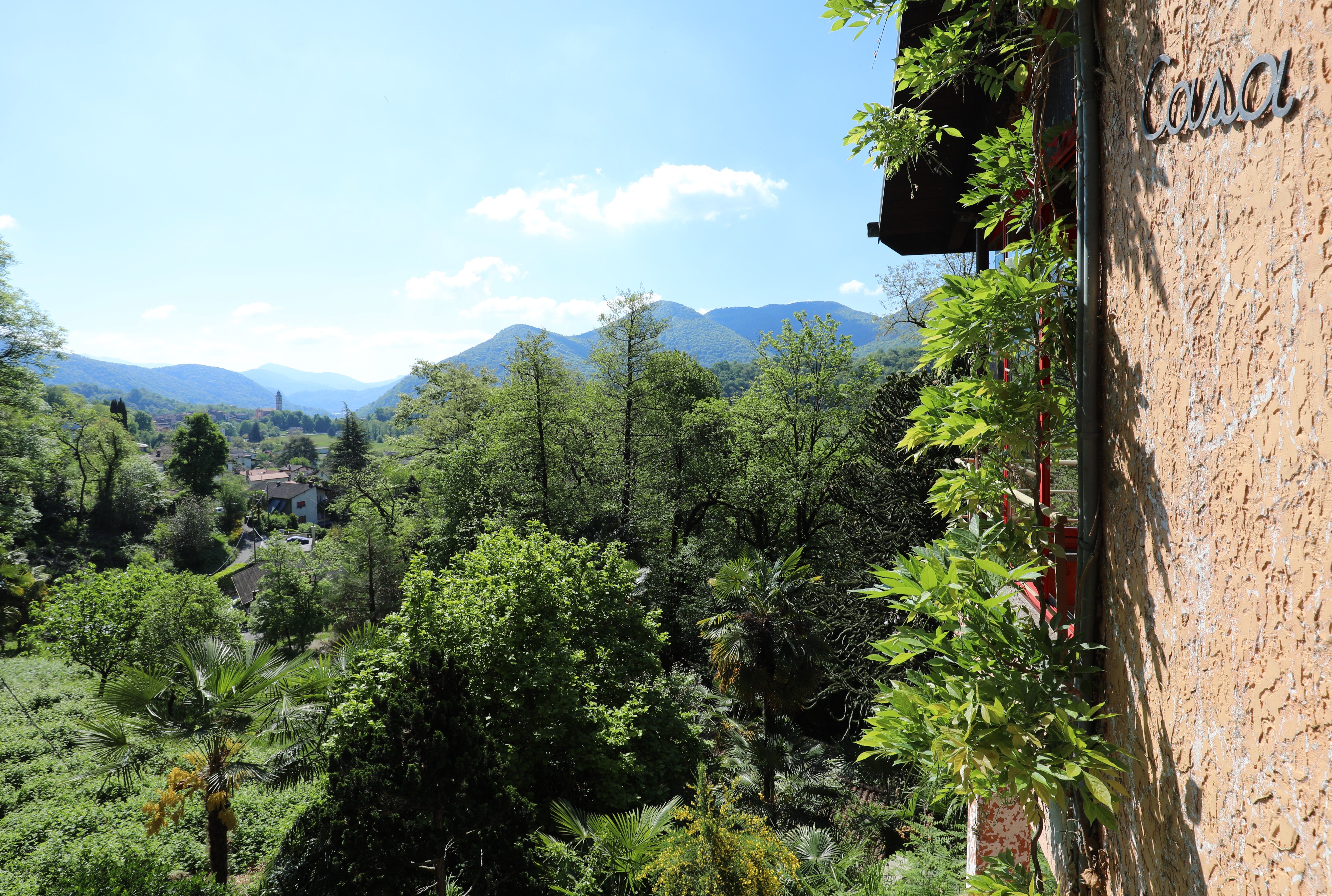 Bergblick mit begrüntem Fassadenrand