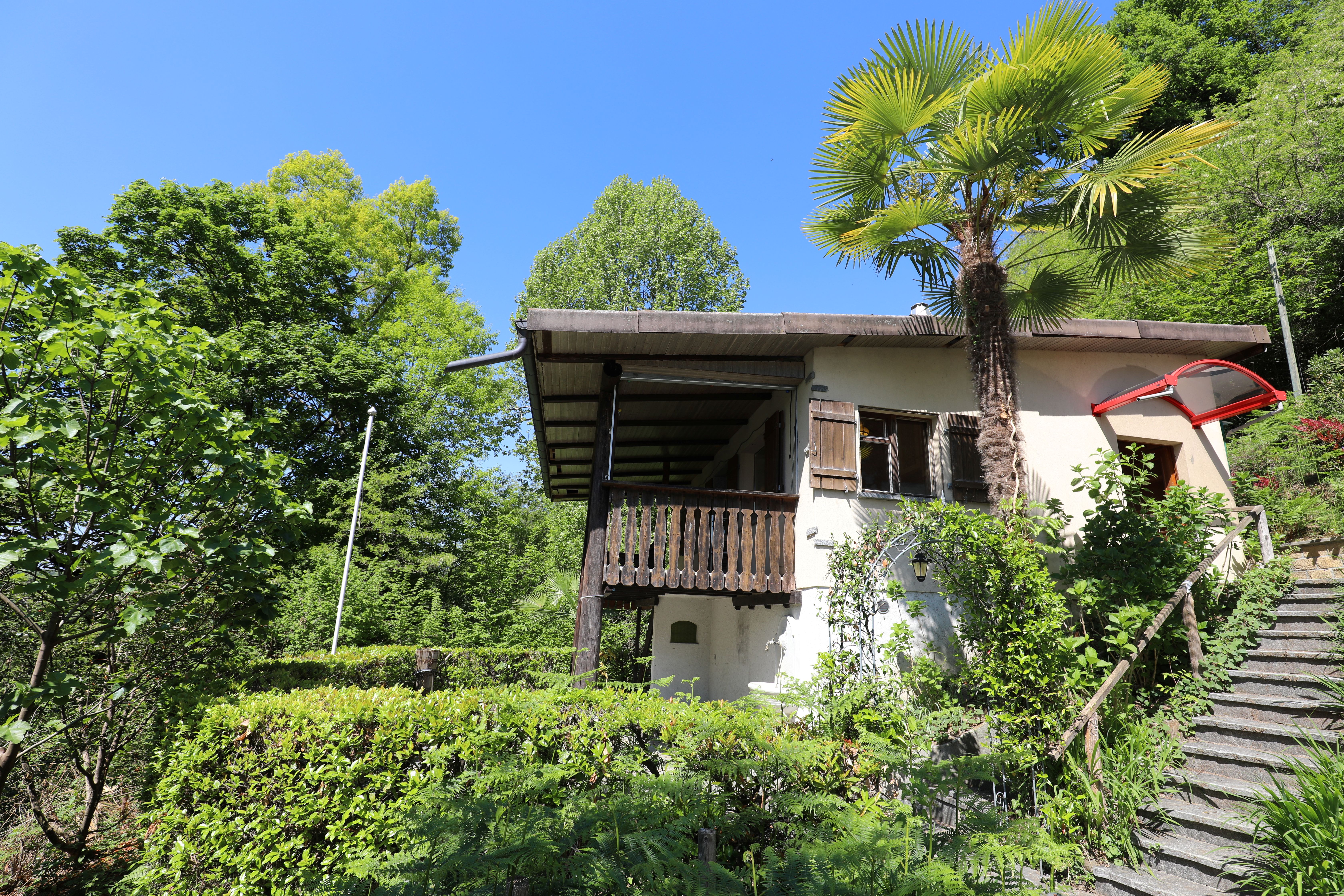 Haus in üppig grüner Umgebung