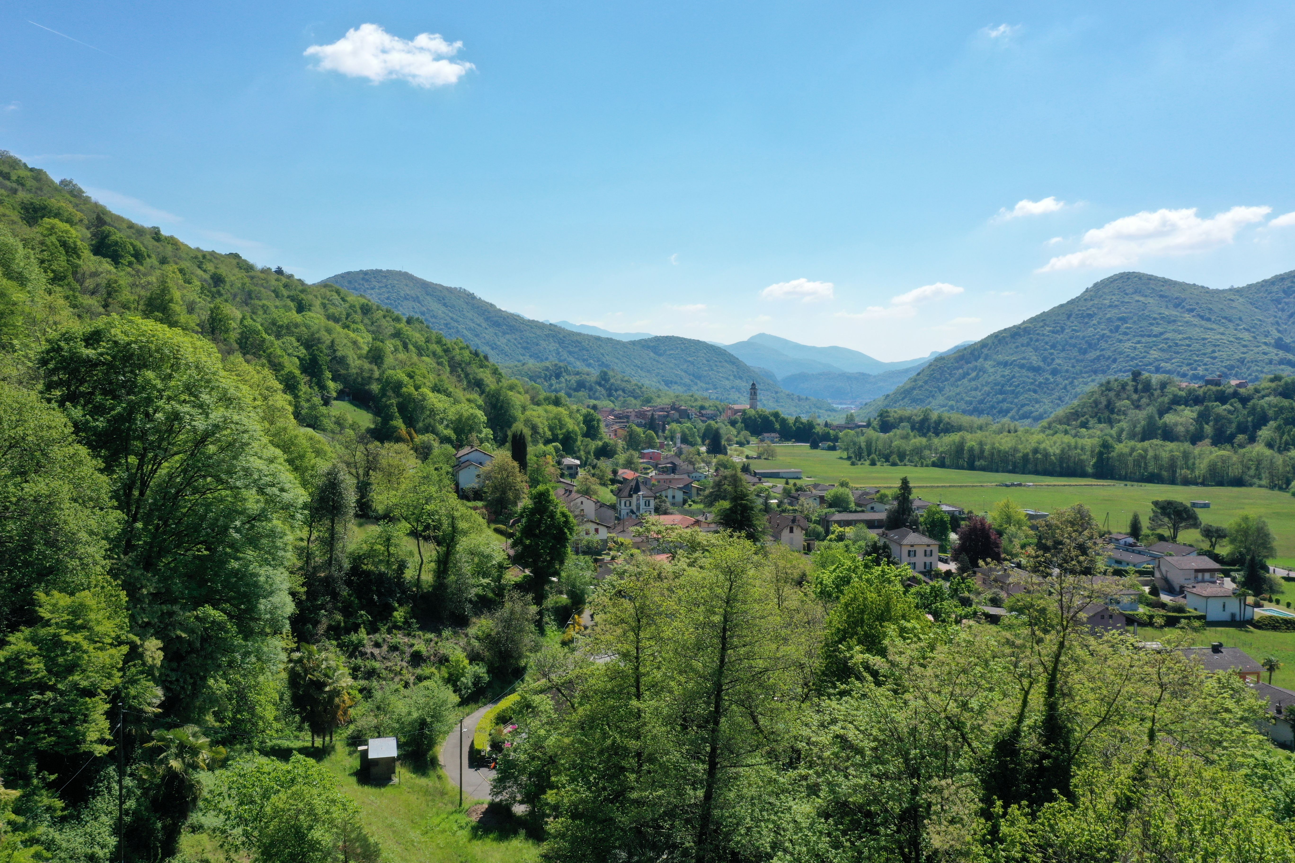 Panoramablick über ein grünes Tal mit Bergen und Siedlung