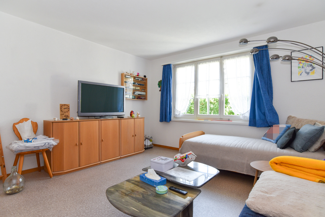Helles Wohnzimmer mit Fernseher und Schlafbereich