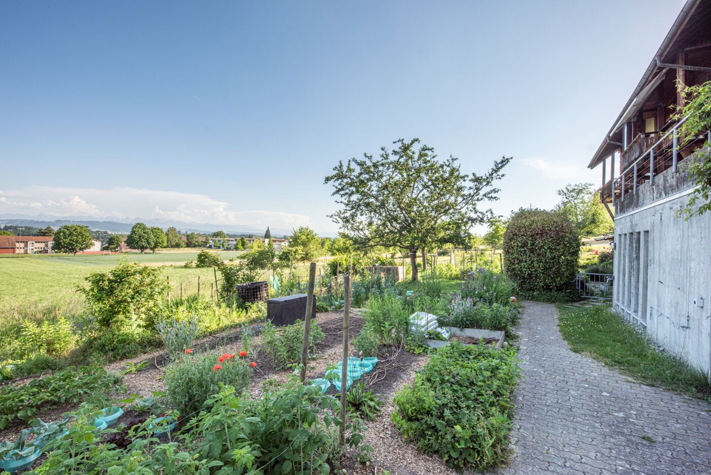 Ländlicher Garten mit Feldblick neben einem Haus