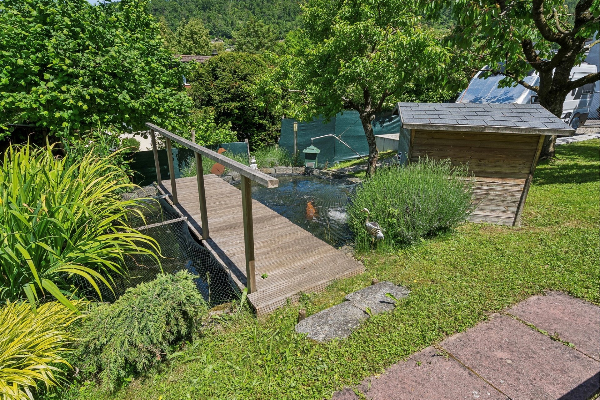 Garten mit Teich und Holzsteg