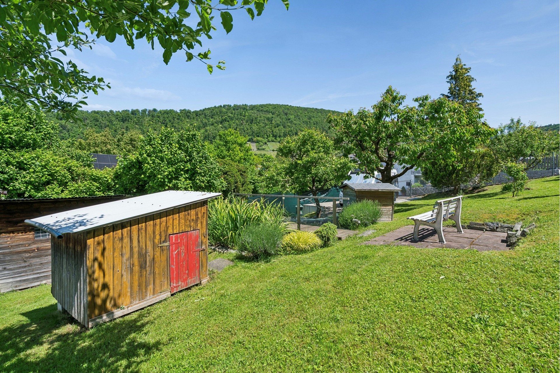 Großer Garten mit Hügellandschaft
